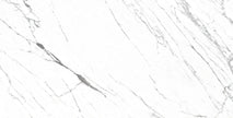 Venato