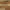 Character Plank - Solid Hardwood