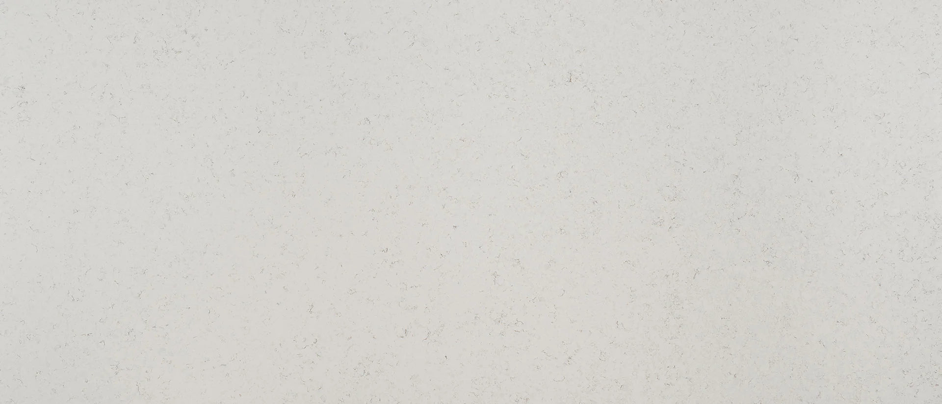 Blanca Statuarietto Quartz