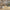 Houston-trail